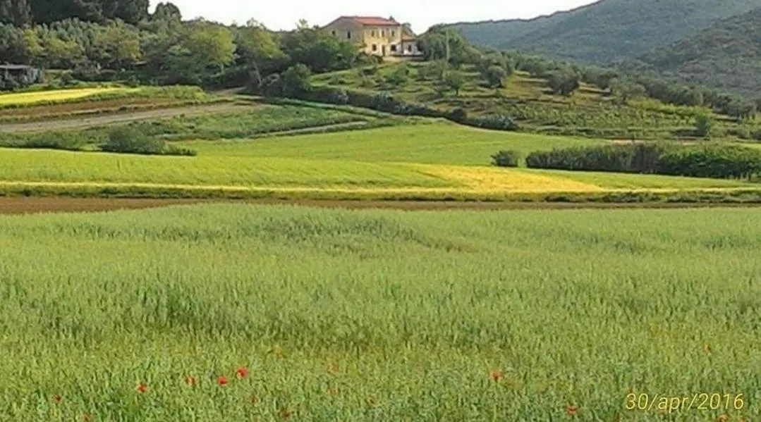 Val Martina Bed and Breakfast Scarlino Ιταλία
